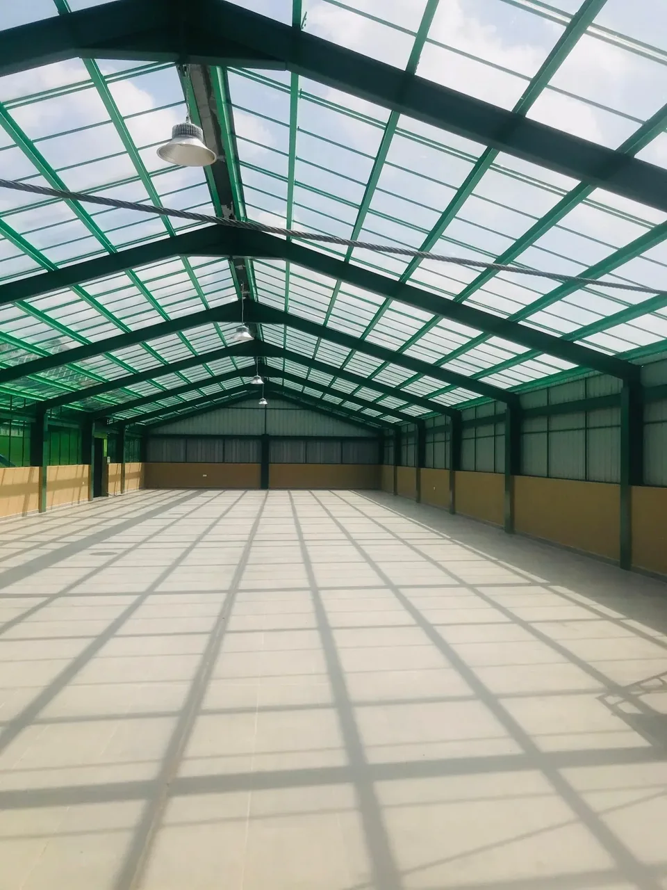 Steel Roofs
